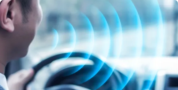 In-cabin Voice Assistant