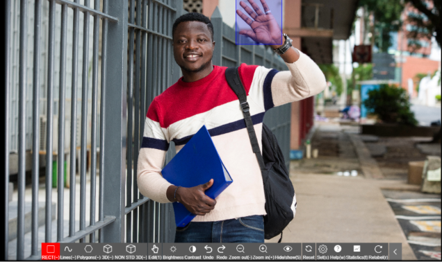 Behavior Recognition Data Annotation