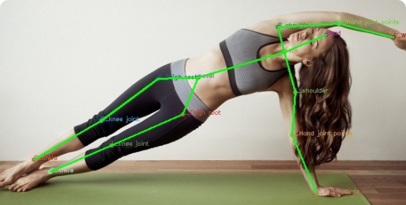 Human Behavior Recognition